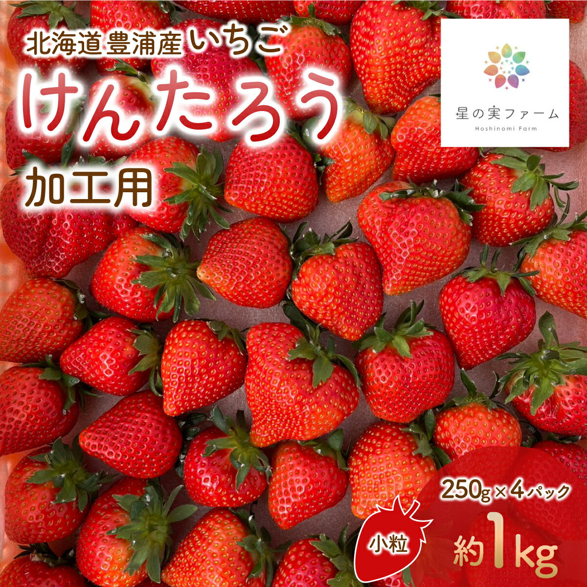 【ふるさと納税】【2026.4月下旬以降順次出荷】北海道 豊浦 いちご 加工用 小粒 けんたろう 250g×4パック1箱 約1kg 【 ふるさと納税 人気 おすすめ ランキング 果物 いちごイチゴ 苺 けんたろう パック おいしい 美味しい 北海道 豊浦町 送料無料 】 TYUW003