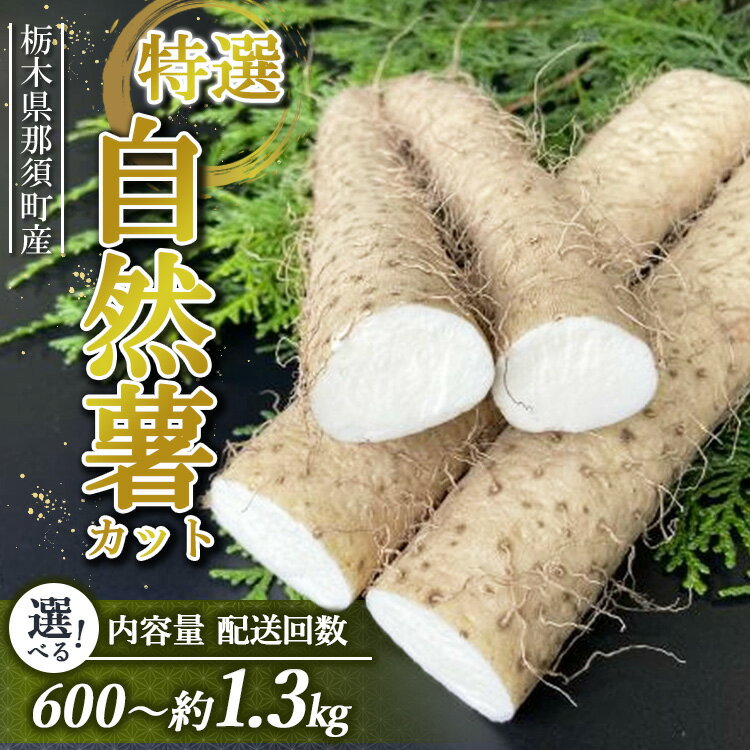 那須町産　自然薯（カット）600g～650g ｜ お土産 贈り物 ご自宅用 那須町〔P-151〕※2023年11月中旬頃より順次発送予定