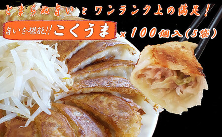 【定期便12回】浜松餃子 大須のぎょうざ［ 浜松ぎょうざ とまらぬコクと旨いを堪能！＜ こくうま味 ＞］× 5袋（1袋20個入、合計100個） 