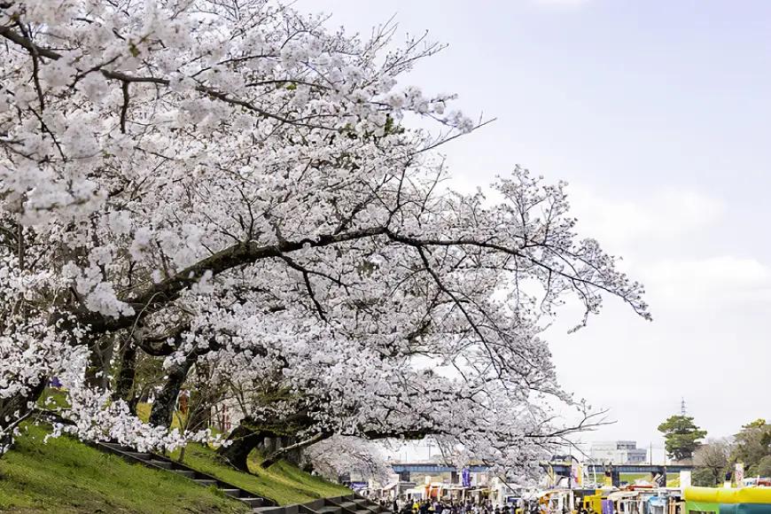 ドローン ドローン操縦 資格取得・卒業後に岡崎市をドローンで見てみよう!3日でプロコース