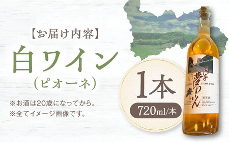 白ワイン (ピオーネ) 約720ml 1本 BKAG008 ワイン