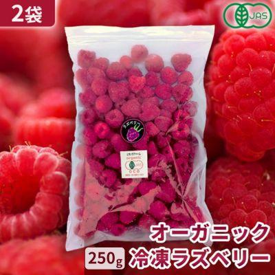 ふるさと納税 帯広市 【令和8年8月以降出荷】有機JAS認証 冷凍ラズベリー2種食べ比べ 500g (250g×2袋)