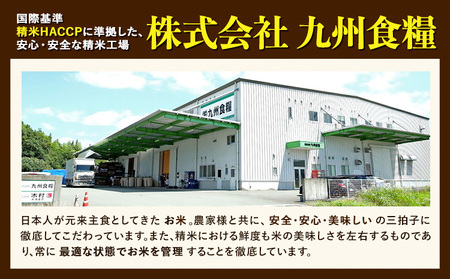 【令和7年産】米 ひのひかり 無洗米 10kg 2kg×5袋 くまモン袋入り 株式会社 九州食糧《30日以内に発送予定(土日祝除く)》熊本県 御船町 精米 こめ コメ 小分け 便利 くまモン 熊本県産