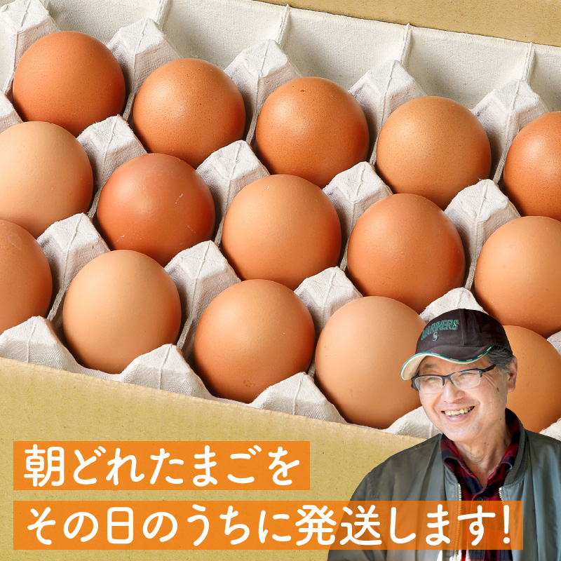 延岡産もみじ玉子80個 N033-YZA234_イメージ3