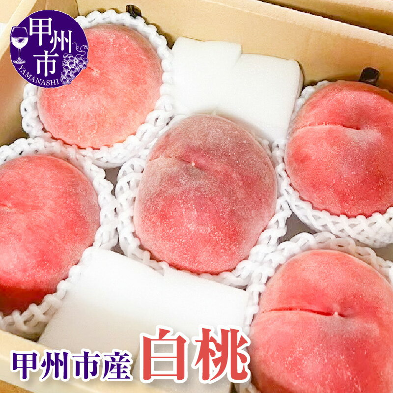 【ふるさと納税】 白桃 約2kg 5～7玉 モモ 桃 もも 冷蔵 クール便 期間限定 7月 8月 発送 果物 くだもの フルーツ 数量限定 山梨 2025年発送 旬 クール 果実 贈答 ギフト 山梨県 甲州市 （KFT） 【B11-1811】