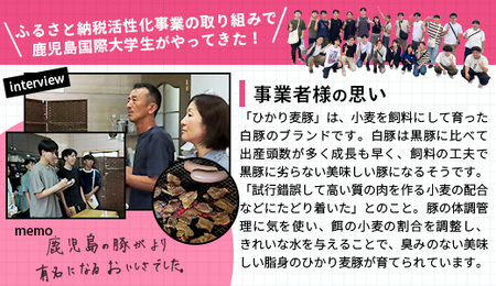 鹿児島県産 ひかり麦豚 モモかつ 計1.6kg （200g×8パック）衣つき トレーなし 冷凍 | 肉 お肉 にく 豚肉 黒豚 かごしま黒豚 モモ肉 トンカツ 冷凍 解凍して揚げるだけ 加工品 真空冷
