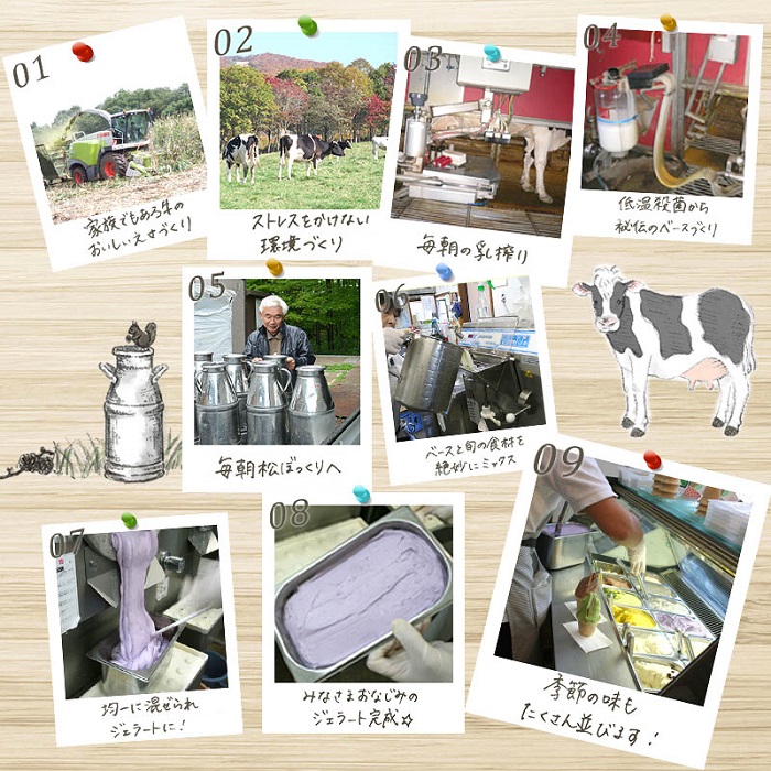 搾りたて牛乳で作る 松ぼっくり ジェラート ミルク 800ml 2個 ／ 1600ml 定番 人気 スイーツ デザート アイス アイスクリーム 搾りたて しぼりたて 牛乳 人気店 行列 評判 お取り寄