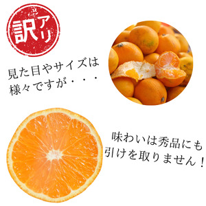 【訳あり】農家直送 有田みかん約5kg ご家庭用 サイズ混合 ※2025年11月中旬から2026年1月中旬までに順次発送予定（お届け日指定不可）※北海道・沖縄・離島への配送不可　訳ありみかん 温州みか