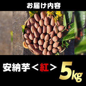 n175 ＜期間・数量限定セット！先行予約受付中！2025年10月中旬頃から12月中の発送予定＞種子島産 安納芋＜紅＞(5kg)＆安納芋チップス1袋セット 国産 安納芋 紅 種子島 芋 イモ いも さ