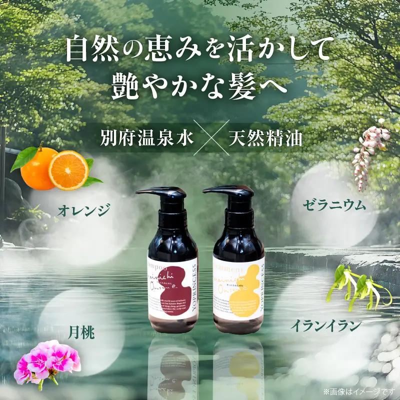 まいにちおんせんエッセンスシャンプー＆エッセンストリートメント_B096-011