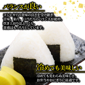ひとめぼれ 10kg 精米 岩手県産 米 白米 はくまい コメ rice ごはん 常温 常温保存 保存 農家 農作物 栄養 夕飯 大船渡 三陸 岩手県 国産