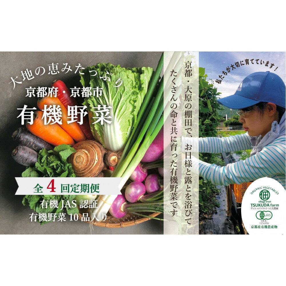 【ふるさと納税】◆全4回定期便◆【つくだ農園】《有機JAS認証 有機野菜10品入り》京都の棚田大原で心を込めて大切に露地栽培された大地の恵みたっぷりの有機野菜!［ 京都 有機野菜 定期便 セット 人気 おすすめ 有機栽培 詰め合わせ 産地直送 新鮮 送料無料 ふるさと納税 ］