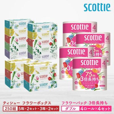 ふるさと納税 八代市 【スコッティ】ティシュー5箱P×2セット+3箱P×2セット+トイレット4ロール(ダブル)P×4セット