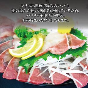 活じめ！神経抜き！ぶりフィレ半身1枚 | 鮮魚 刺身 お刺身 お刺し身 魚介 海の幸 冷蔵 ブリ 鰤 ぶり 愛媛県 松山市【KHN0031】