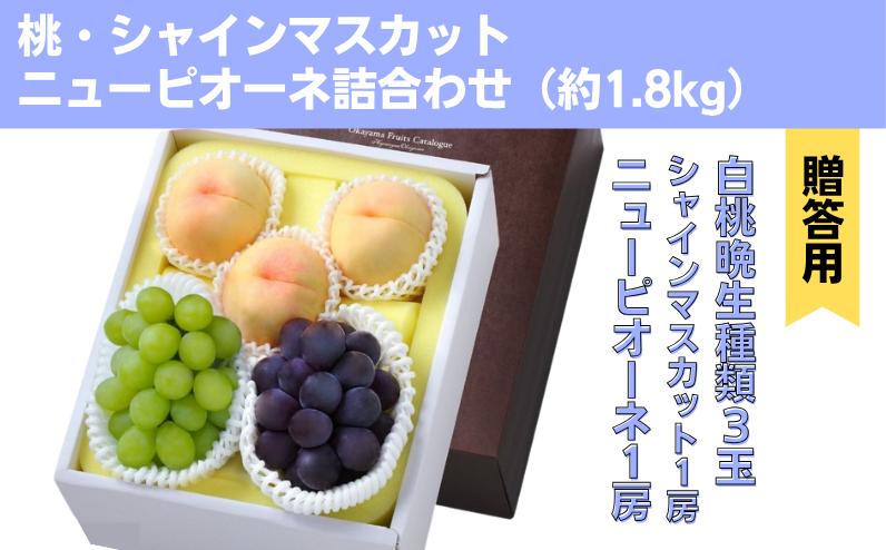 
            詰合せ 白桃 晩生種 3玉 シャインマスカット 1房 ニューピオーネ 1房 合計約1.8kg 岡山県産 【先行予約 2026年8月下旬から順次発送】
          