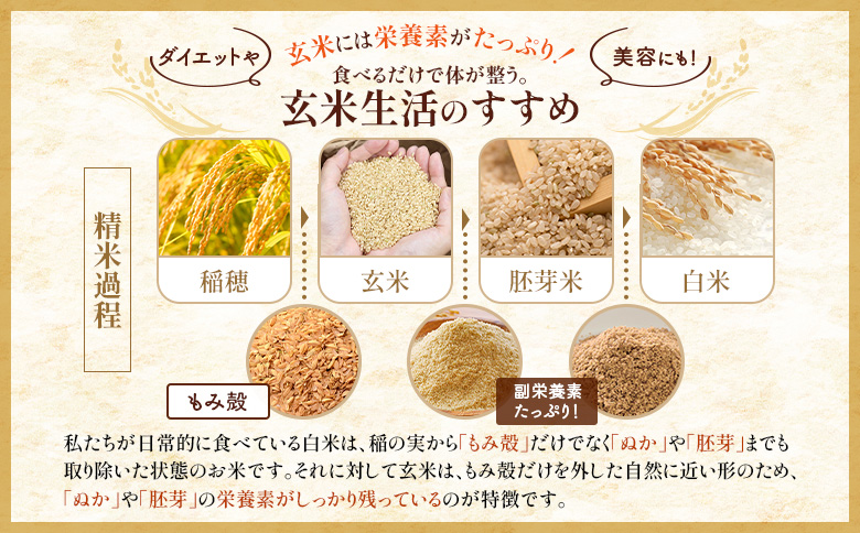 【令和8年度産】 食味ランキング「特A」ななつぼし玄米定期便 (10kg×3回)【11027】 定期便 (10kg×3回)