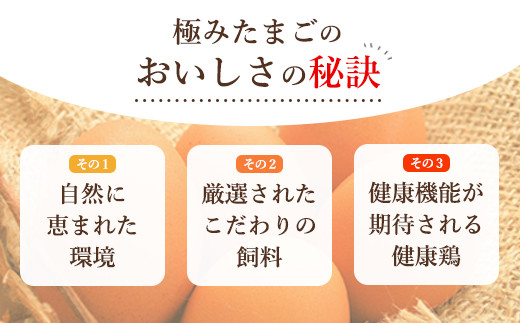 【全3回】紀の国みかん極みたまご定期便