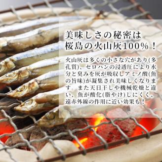 y266 ＜高級手作り干物＞桜島灰干し詰め合わせ！鹿児島県湧水町産にじますの他、季節のお魚を計8袋お届け！ 干物 魚 焼き魚 おかず 晩御飯 晩ごはん 朝食 朝ごはん 朝ご飯 和食 定食 にじます ニ