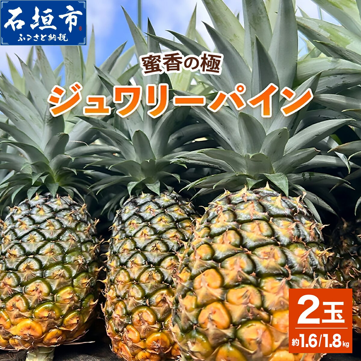 【ふるさと納税】《2027年6月以降順次発送》蜜香の極 ジュワリーパイン 2玉 約1.6〜1.8kg | 沖縄県 石垣市 石垣島 完熟 パイン パイナップル ジュワリー 予約受付 TF-016 TF-113