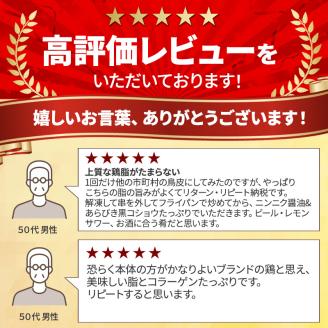 広島熟成どり 広島県産皮串 50本（生肉冷凍）