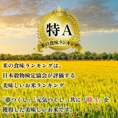 ふるさと納税 大任町 新米!!令和7年産 福岡県産米 食べ比べ(夢つくし・元気つくし) 計10kg 各5kg×1(大任町) |  | 03