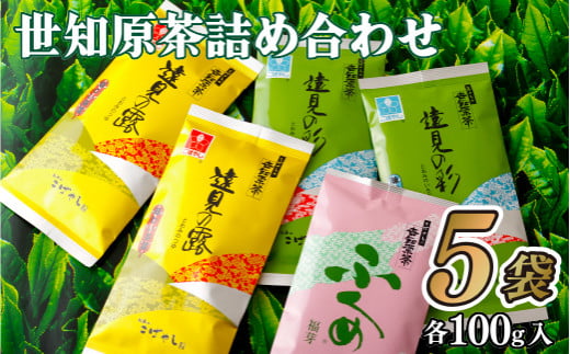 世知原茶詰め合わせ