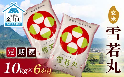 令和7年産《定期便》 金山産米 雪若丸【玄米】（5kg×2袋）×6ヶ月 定期便 計60kg 6ヶ月 米 お米 ご飯 玄米 ブランド米 送料無料 東北 山形 金山町 F4B-0690