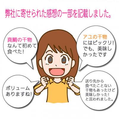 ふるさと納税 小田原市 おまかせ干物セット |  | 02