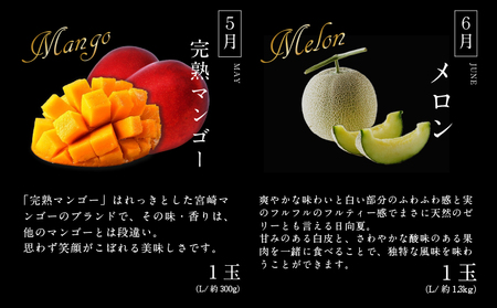 《2026年発送先行予約》【数量・期間限定】贈答用にもオススメ!バイヤー厳選!「フルーツ定期便」(全6回) 果物 フルーツ 定期便