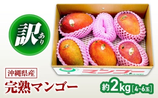 マンゴー 2026 【 2026年発送 先行予約 】訳あり 完熟マンゴー 約2kg (4〜6玉入) まんごー 2026 訳あり 沖縄 マンゴー 先行予約 濃厚 極甘 甘い 極上 あまい おいしい 大人気 おすすめ ご家庭用 冷蔵 デザート まんごー 果物 フルーツ 果実 冷蔵 くだもの ジューシー 南国 国産 ギフト 沖縄市 / ちゃんぷる～市場 [BCAA002]