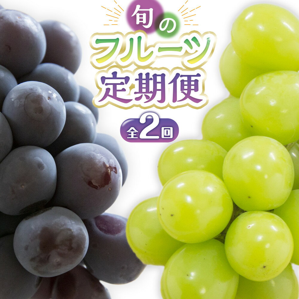 【ふるさと納税】【定期便全2回】旬のフルーツ定期便 (ニューピオーネ シャインマスカット)【葡萄 ぶどう 旬 人気 フルーツ 果物 くだもの 香川県】