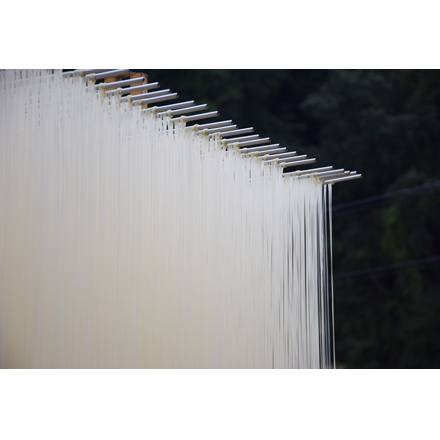 毎月定期便 三輪そうめん 芳岡 誉 黒帯 1kg 全6回/ ふるさと納税 手延 そうめん 特産 名産 素麺 お取り寄せ ブランド オススメ 奈良 化粧 箱 熟成 特級品 ケンミンSHOW 送料無料_イ