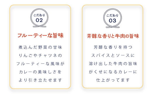 さいか屋謹製よこすか海軍カレー 2食入り2箱セット 懐かしい味わい海軍カレー かれー 横須賀 神奈川 海軍カレー ビーフカレー カレー  備蓄用にも おすすめ 災害時にも【さいか屋横須賀店】 [AKC
