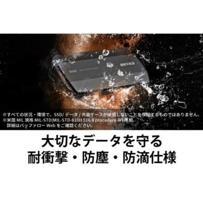 ふるさと納税 名古屋市 バッファローTypeA&C MiniStation SSD 1TB |  | 03