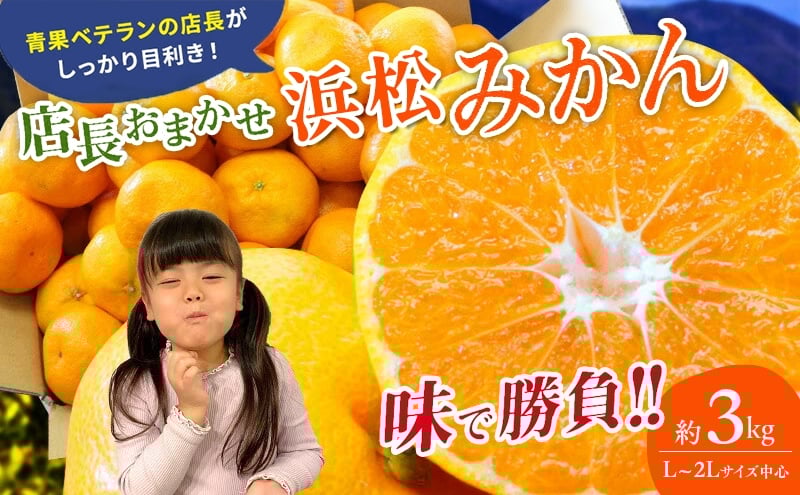 
            【訳あり】店長おまかせ浜松みかん 約3kg サイズL～2L ミカン 蜜柑 フルーツ  みかん ミカン 三ヶ日 みかん 蜜柑 糖度 静岡 浜松市 [№5360-0979]
          