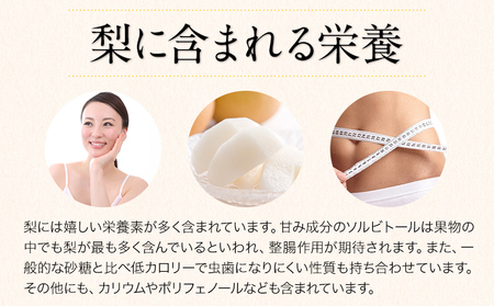 ＜ひるおびで紹介されました＞2026年先行予約 梨 荒尾梨 約4.5～5kg（6～22玉） なし フルーツ 果物 旬 《2026年8月下旬‐11月中旬頃出荷》熊本県 荒尾市 旬の梨 幸水 秋麗 豊水 