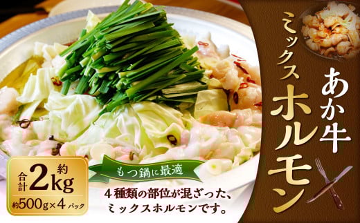 熊本和牛 あか牛 ホルモン 約2kg（約500g×4パック） 肉 お肉 牛肉 和牛 褐毛和種 国産 九州産 冷凍 熊本県 湯前町