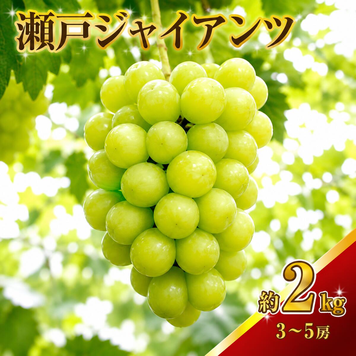 【ふるさと納税】ぶどう 瀬戸ジャイアンツ 約2kg 3～5房 2026年先行予約 葡萄 フルーツ 高梁市産 種なし 皮ごと食べられる 産地直送 岡山 岡山県高梁市 ギフト　お届け：2026年9月下旬～2026年10月下旬