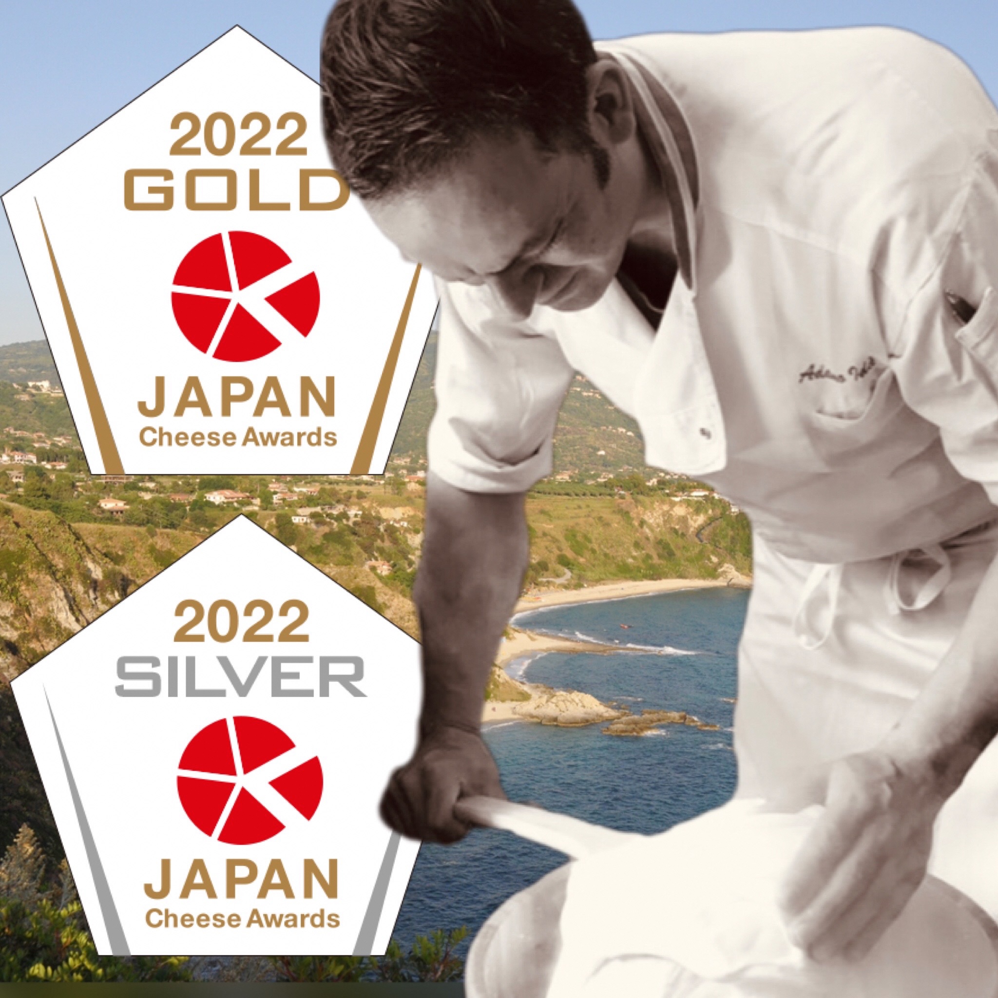 がんばれ中日ドラゴンズ！ナポリセット（JCA2022金賞・銀賞）【中日ドラゴンズコラボ】 【0073-079】_イメージ3