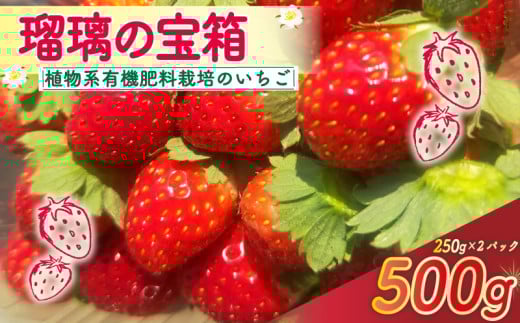【植物系有機肥料のいちご】 瑠璃の宝箱 いちご 計500g 250g×2パック 《2026年2月～5月発送》 先行受付 有機 有機JAS 植物系有機肥料 イチゴ 苺 オーガニックイチゴ ストロベリー ベリー フルーツ ケーキ ジャム デザート 果物 甘い 国産 ブランド 新鮮 産地 直送 フレッシュ 人気 おすすめ ふるさと納税 京都 八幡 八幡市 かみむら農園