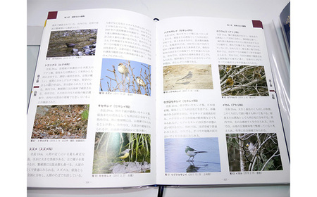 常陸大宮市史 別編2 自然 1冊 地形 地質 気象 【歴史】【ho1318】