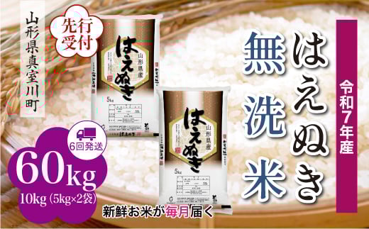 ＜令和7年産米先行受付＞ 真室川町産 はえぬき 【無洗米】 定期便 60kg （10kg×1ヶ月間隔で6回お届け）＜配送時期指定可＞