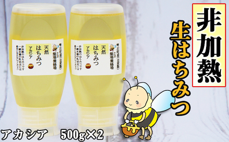 簗場養蜂場 非加熱 生はちみつ アカシア 500g 2本 【あねっこ】 純粋 蜂蜜 はちみつ ハチミツ ハニー 1kg 1キロ 国産 国内産 日本産 ボトル 長期保存 産地直送 アカシヤ 蜜 みつ ミツ 人気 稀少 希少 お取り寄せ プレゼント 贈り物 仕送り 家庭用 自宅用 常温発送 調味料 隠し味 おすすめ