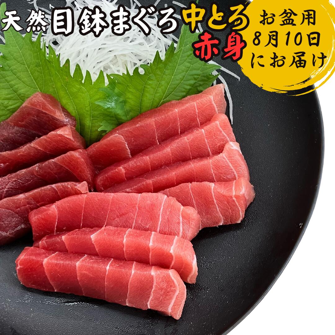 【ふるさと納税】【期間限定】【お盆用】天然 目鉢鮪 中とろ 2柵 赤身 1柵＜A2ランク＞（2026年8月10日にお届け）マグロ 鮪 めばちまぐろ 柵 刺身 三崎 三崎港 海鮮 魚 魚介 湊魚問屋 神奈川 三浦市 おすすめ ランキング プレゼント ギフト
