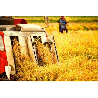 ふるさと納税 南魚沼市 【令和7年産】2kg/南魚沼産コシヒカリ　精米　うちやま農園のお米/発祥の地 |  | 03
