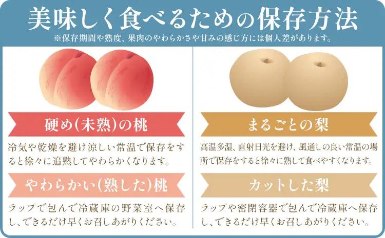 旬の フルーツ セット 2ヶ月定期便 7月・8月配送 桃 約1.8kg 梨 約2kg