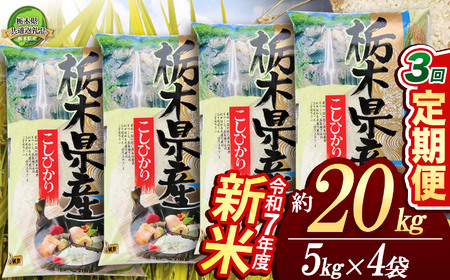 【先行予約】【定期便3回】コシヒカリ20kg（5kg×4袋）【栃木県共通返礼品】 | 米 こめ コメ kome 白米 精米 お米 こしひかり ｺｼﾋｶﾘ 新米 栃木米 令和7年度米 令和7年度 2025年度米 2025年度 ブランド米 栃木県 特産品 送料無料 栃木県 下野市 しもつけ市