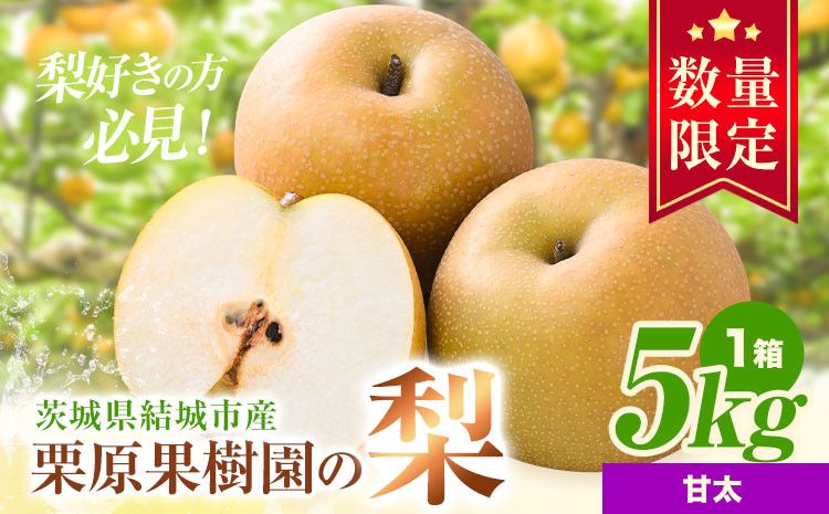 
            【先行予約】栗原果樹園 梨 5kg  甘太 《9月中旬-10月上旬出荷予定》茨城県 結城市 なし 梨 フルーツ 旬 果物 【配送不可地域あり】
          