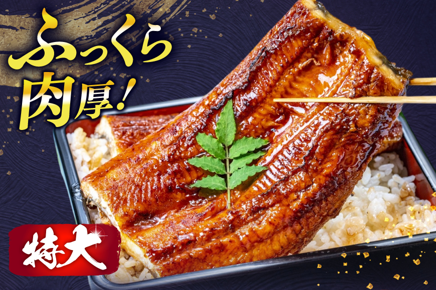 うなぎ 蒲焼 特大サイズ 肉厚 約 1.5kg 4尾 タレ・山椒付 茶葉蒸し [大黒物産 福岡県 宇美町 um40bak830002] 鰻 ウナギ 小分け うなぎ蒲焼 鰻蒲焼き 訳あり 蒲焼き かば焼