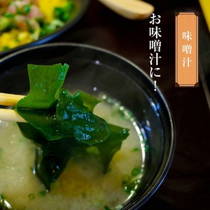 香川県産 海産物 詰め合わせ「ふくえび （40g×4袋）」と「天然湯通し 塩蔵わかめ （200g×2袋）」